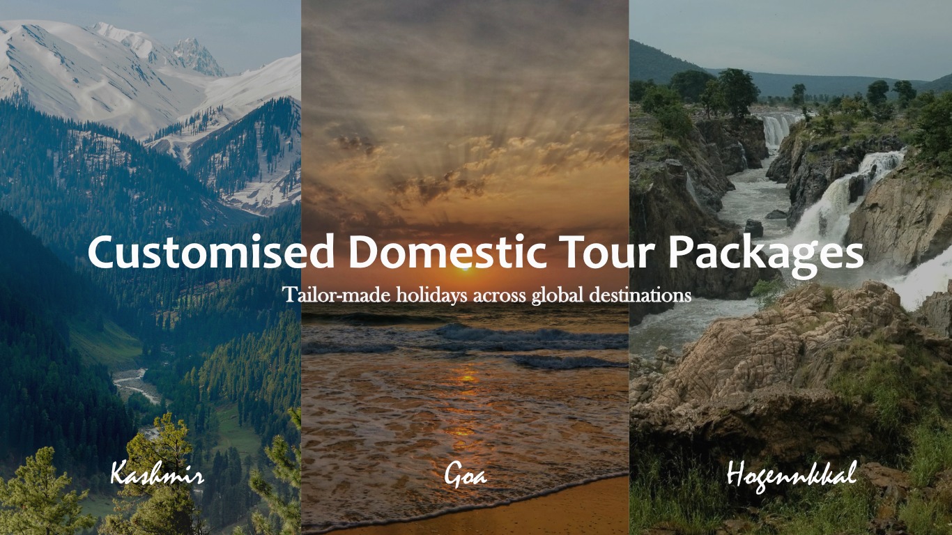 customized-domestic-tour-package